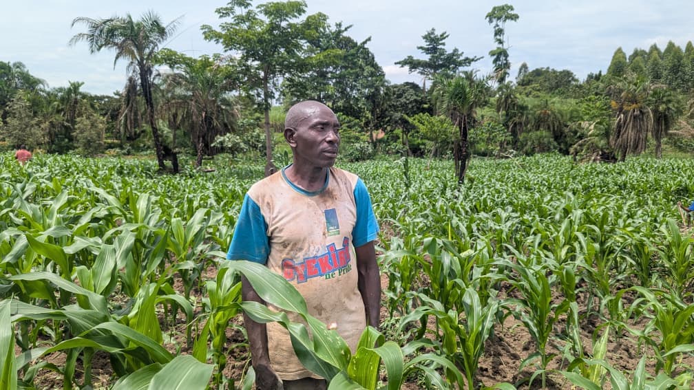 Wotabank user 1 in their maize garden