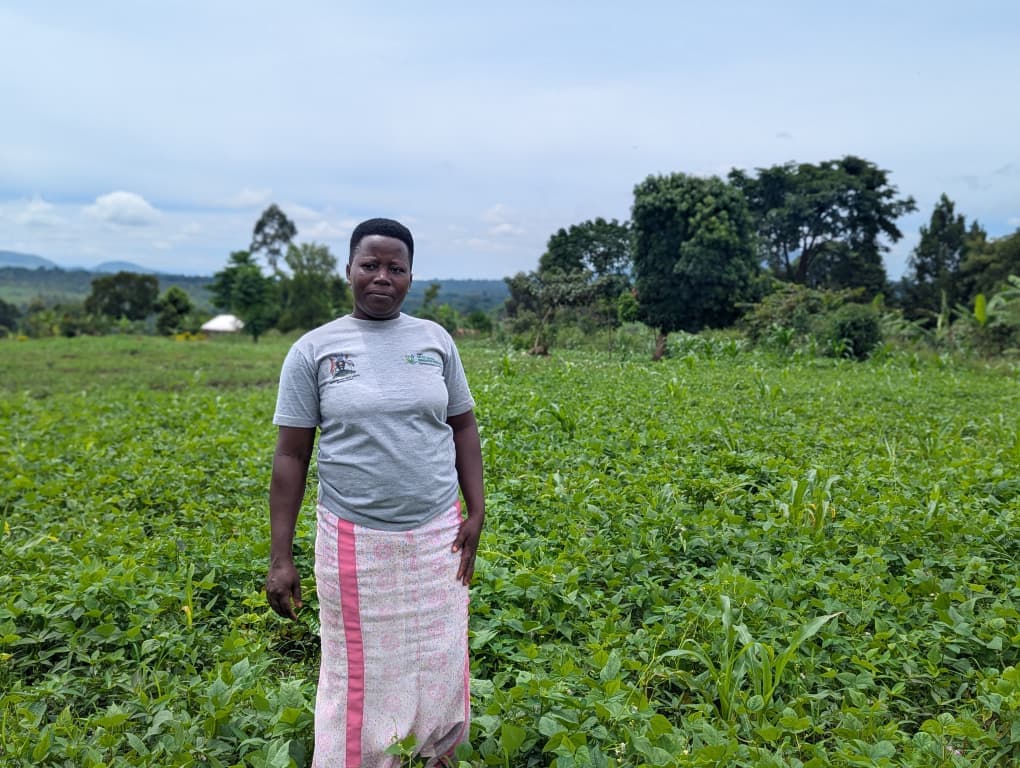 Wotabank user 4 in their beans garden
